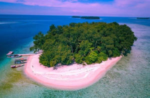 Mengintip Pesona Bawah Laut Pulau Bira