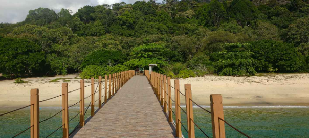 Menyelami Keajaiban Alam Teluk Bahang: Panduan Lengkap
